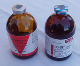 vitamins A&D injection and BO-SE Selenium VitaminE injection